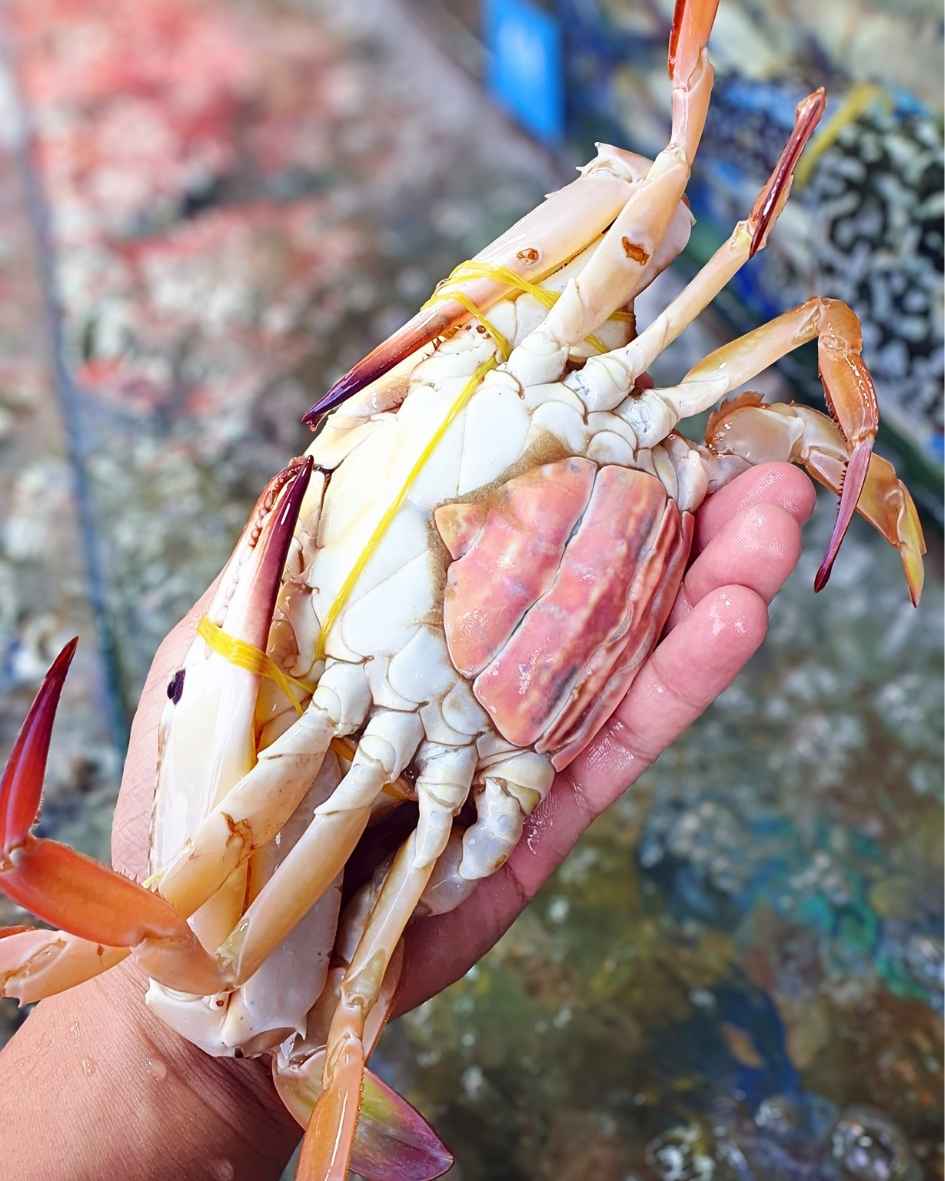 chọn-ghẹ-chắc-thịt