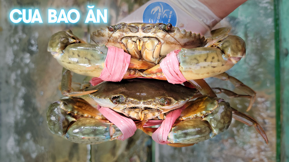 Cua Biển, Cua thịt, Cua gạch son Ngon, Cam kết chất lượng giao Quận 1