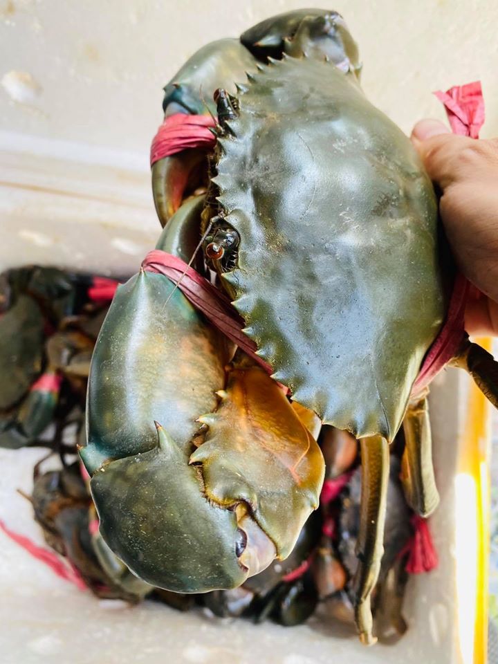 Cua Biển Tại Quận 3 HCM