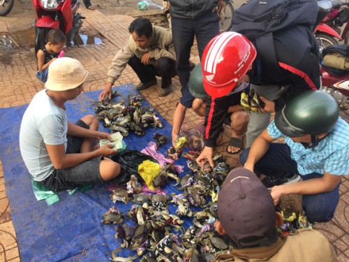 Cua Biển Giá Siêu Rẻ đổ đống bán vỉa hè Sài Gòn