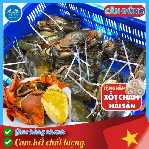 Cua Cốm (Hai Da) Cà Mau Sống, Size 4/5con Không dây, Bao Ăn