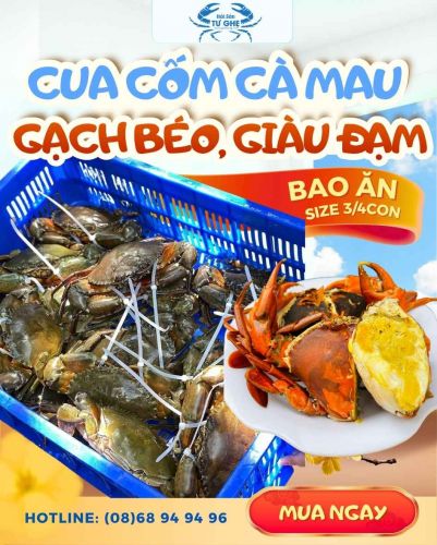 Cua cốm sống | Cua hai da Không Dây