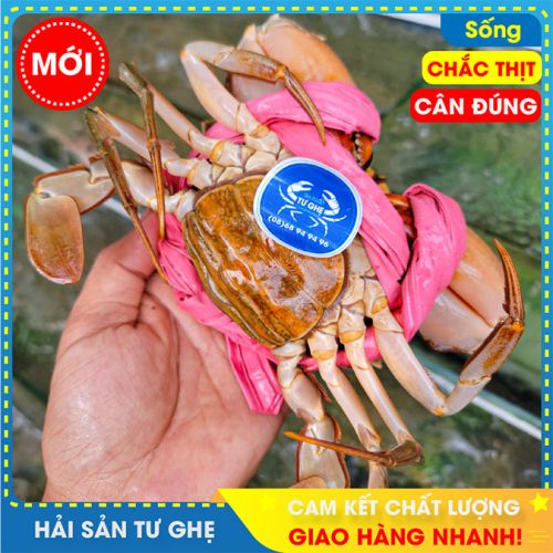 Cua Gạch Son Cà Mau Bao Ăn ( Size 3-4 con/KG )