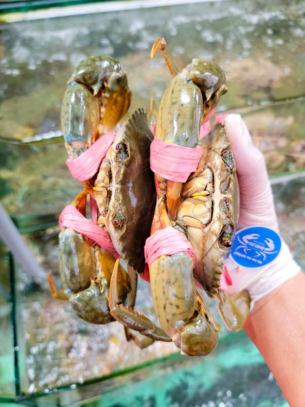 cua-gach-son-ca-mau-tai-tphcm