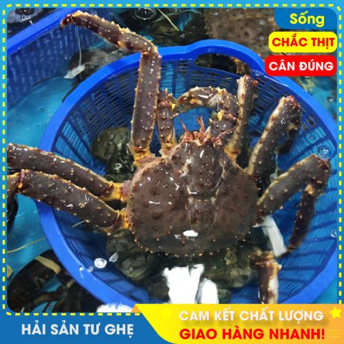 Cua hoàng đế alaska (King Crab)