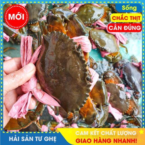 Cua Thịt Cà Mau (size 5-6con/KG), Bao ăn, 1 Đổi 1