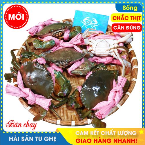 Cua Thịt Cà Mau (size 5-6con/KG) | Bao ăn