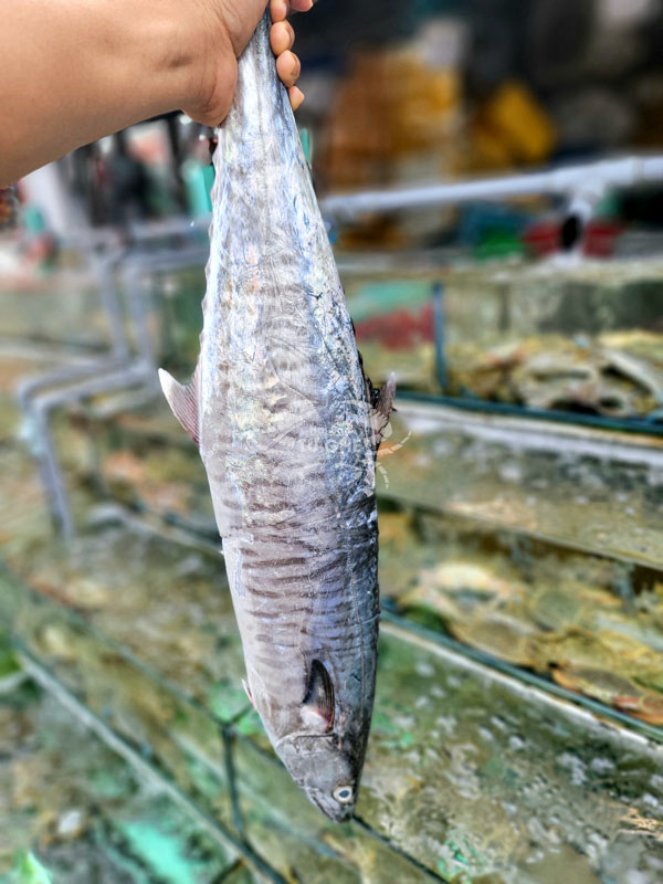 cá-thu-tươi-mới