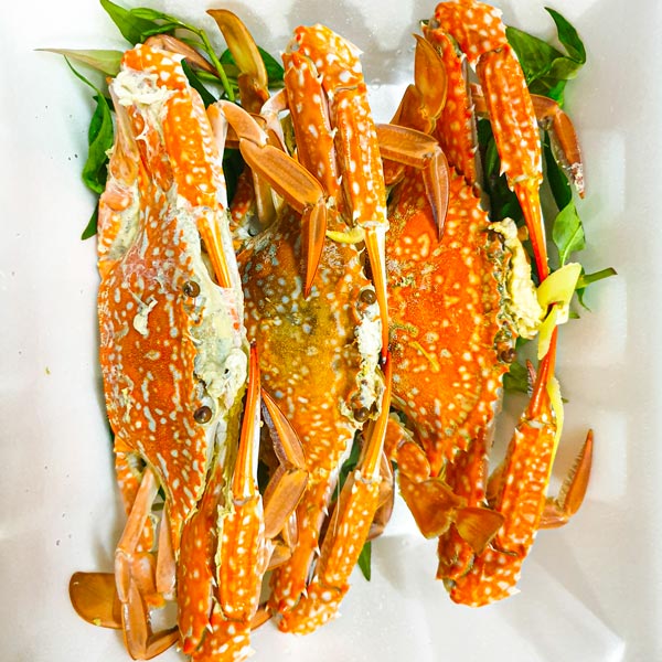 dam-bao-chon-ghe-chat-luong