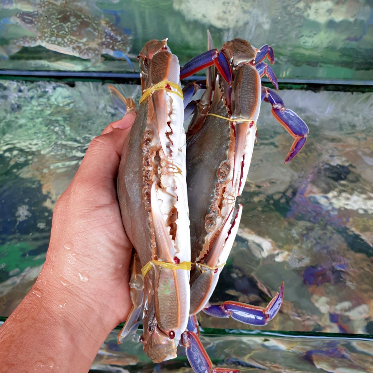 ghe-ba-cham-chat-luong-nhu-the-nao ghe-ba-cham-chat-luong-nhu-the-nao