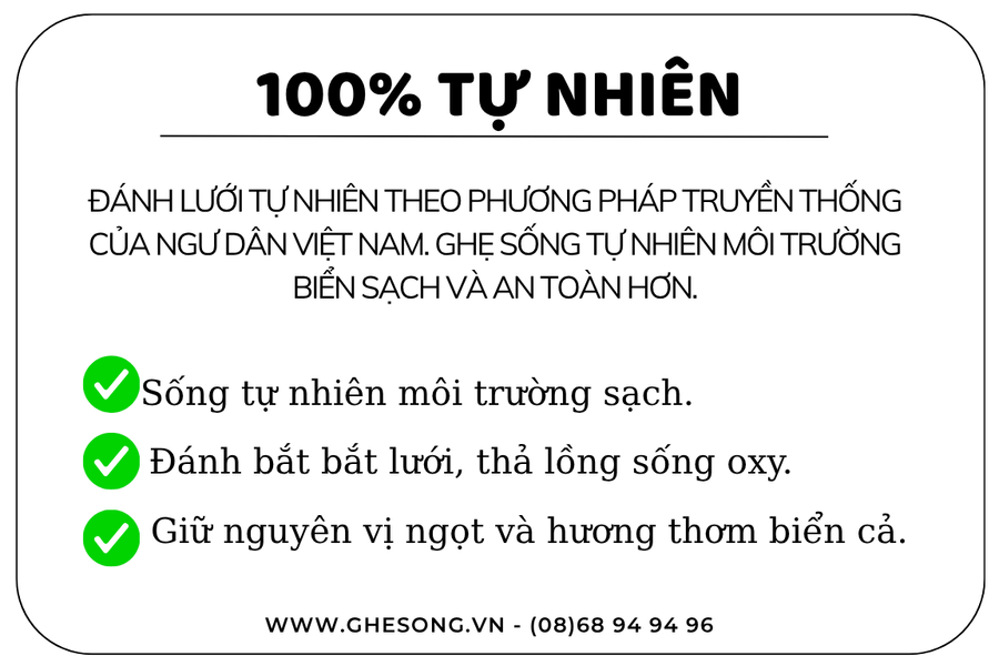 ghe-song-hao-toan-tu-nhien-cam-ket-chat-luong ghe-song-hao-toan-tu-nhien-cam-ket-chat-luong