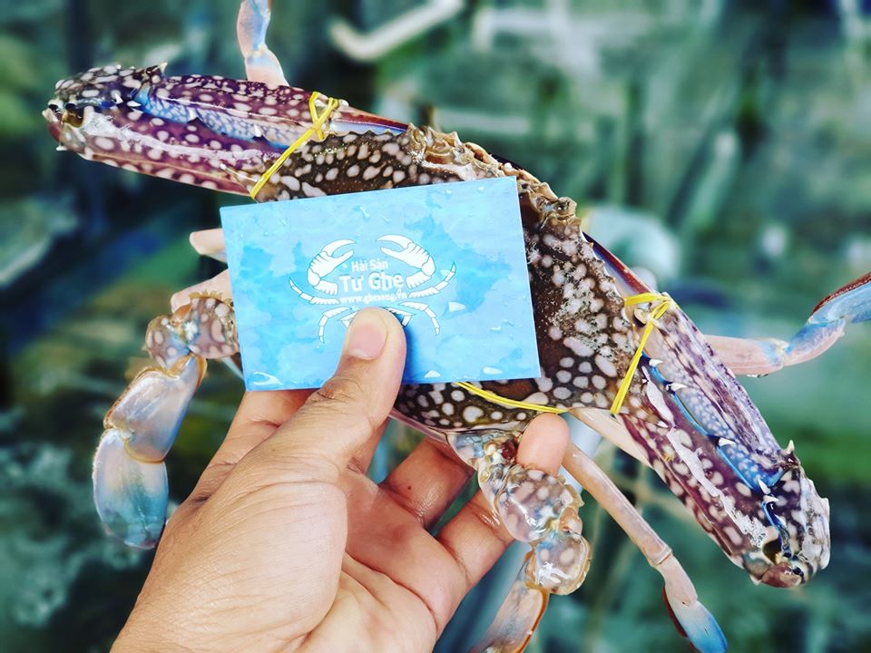 Ghẹ sống tại quận 1