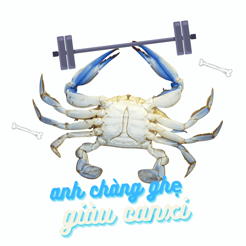 ghe-xanh-giau-canxi ghe-xanh-giau-canxi