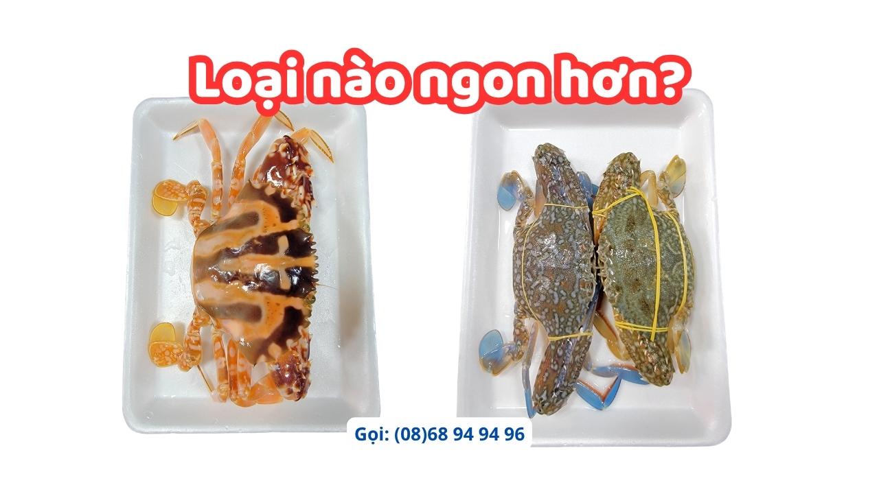 Ghẹ xanh và ghẹ đỏ, loại nào ngon hơn?
