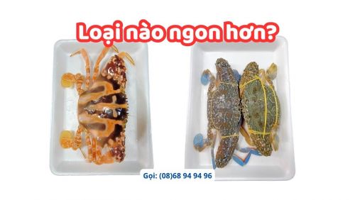 Ghẹ xanh và ghẹ đỏ, loại nào ngon hơn?