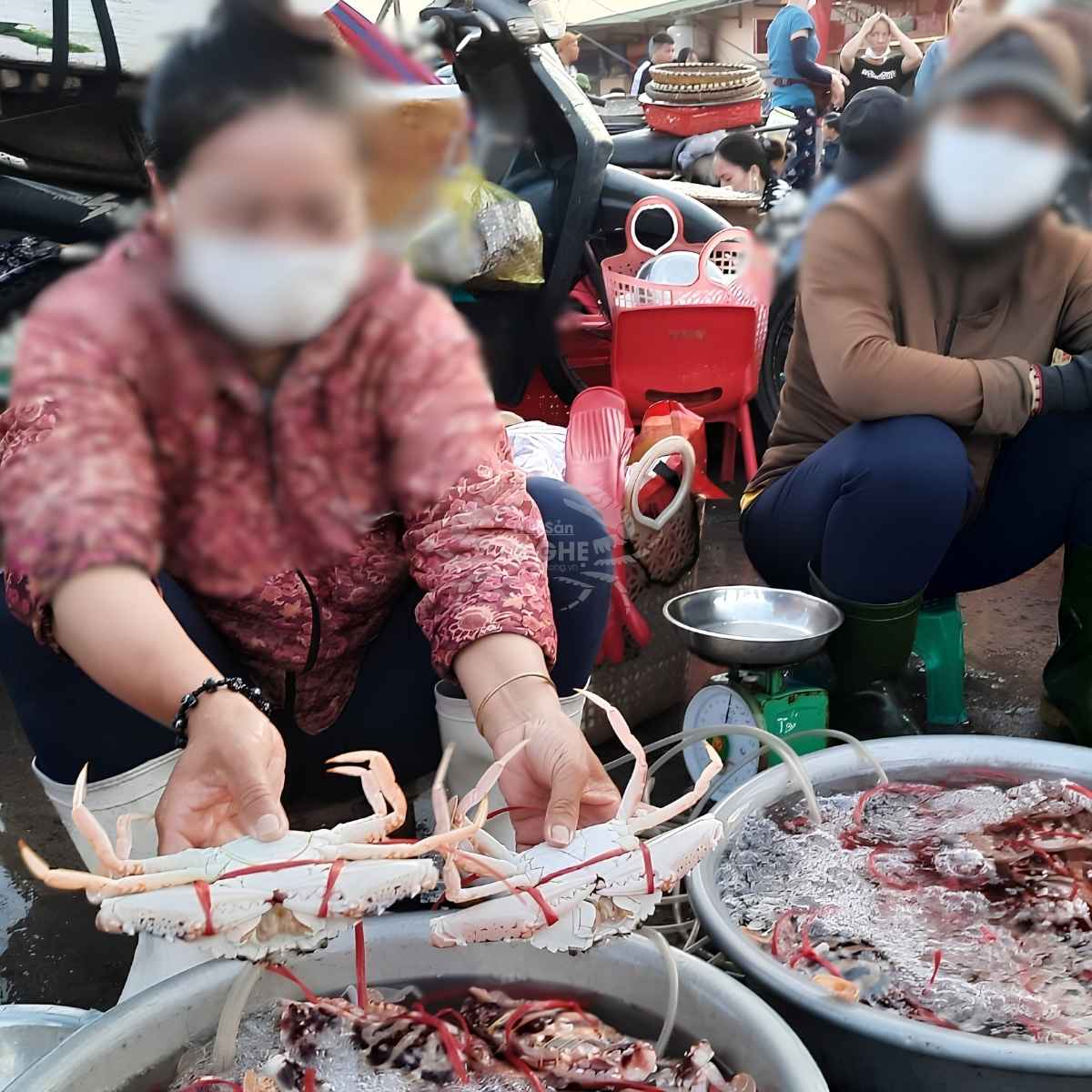 ghẹ-bán-vỉa-hè-và-những-rủi-ro-tìm-ẩn ghẹ-bán-vỉa-hè-và-những-rủi-ro-tìm-ẩn