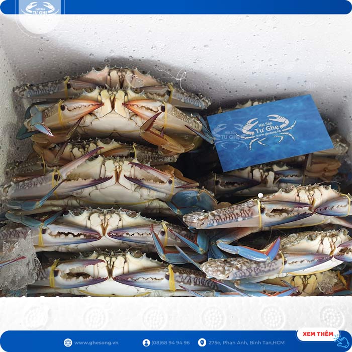 ghẹ-sống-oxy-khí ghẹ-sống-oxy-khí