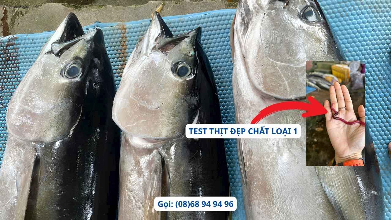 gia-ca-ngu-bao-nhieu-tien-1kg-tai-tphcm-hom-nay