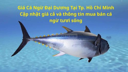 Giá Cá Ngừ Đại Dương Tại Tphcm Bao Nhiêu Tiền 1KG
