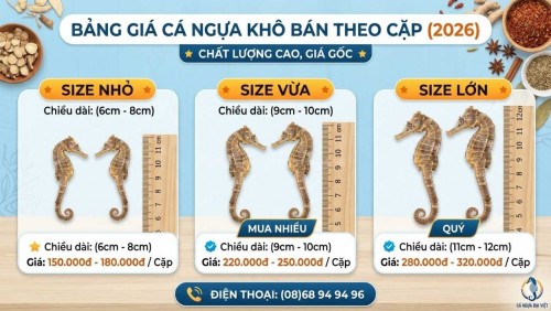 Giá Cá Ngựa Bao Nhiêu Tiền Một Con?