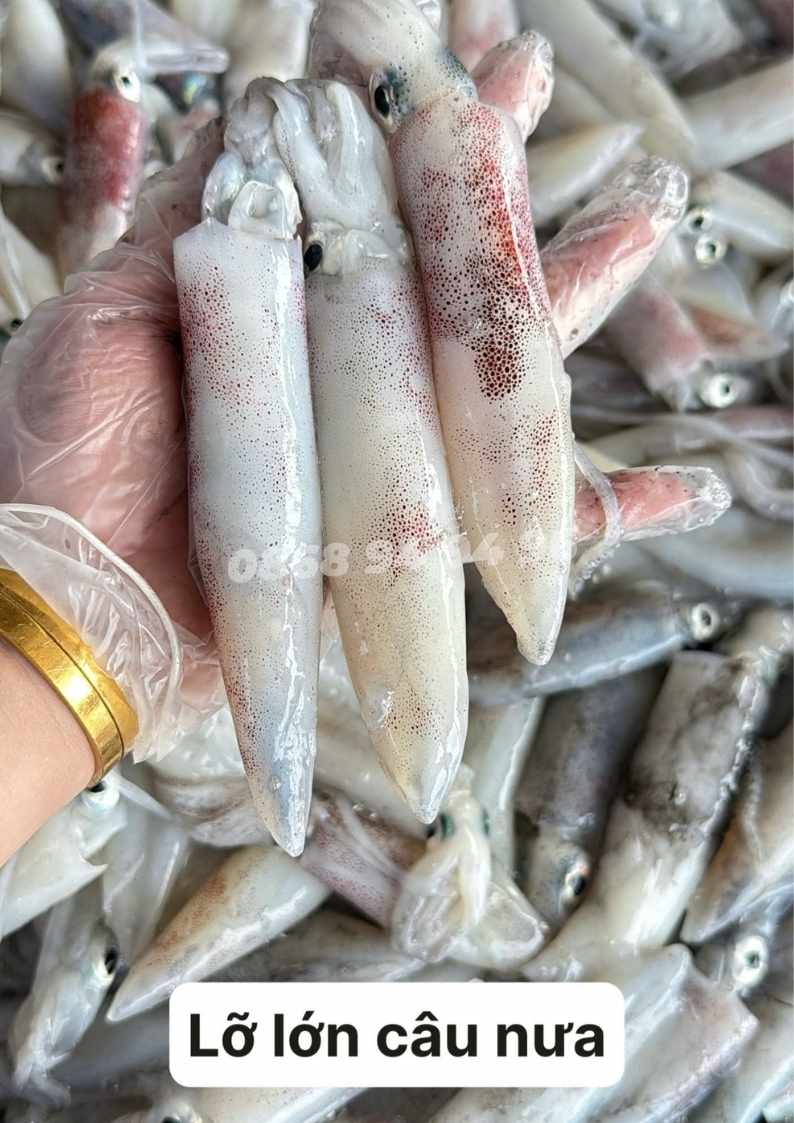 gia-muc-lao-hom-nay-hcm