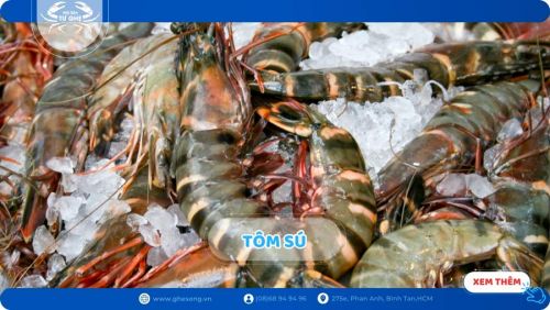 Giá Tôm Sú Cập Nhập Mới, Tôm Sống Chất Lượng Giao Tận Tay