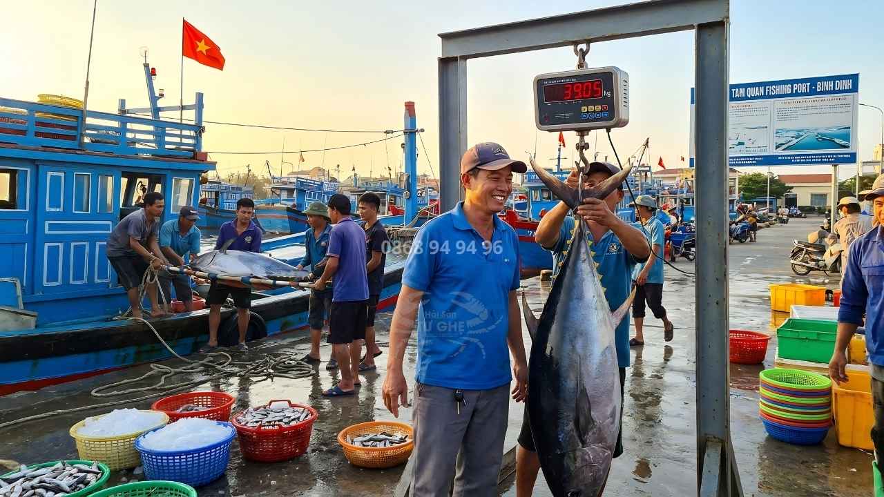 giao-ca-ngu-dai-duong-nguyen-con-20kg-30kg