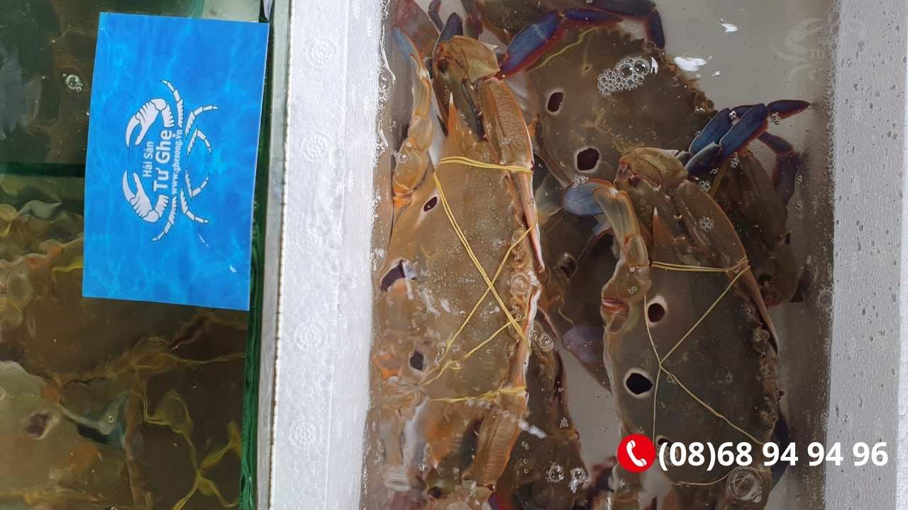 giao-ghe-3-cham-song-tai-hcm-gia-re-nhat