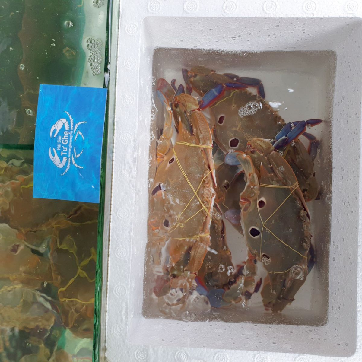 giao-ghe-ba-cham-song-tai-tphcm giao-ghe-ba-cham-song-tai-tphcm