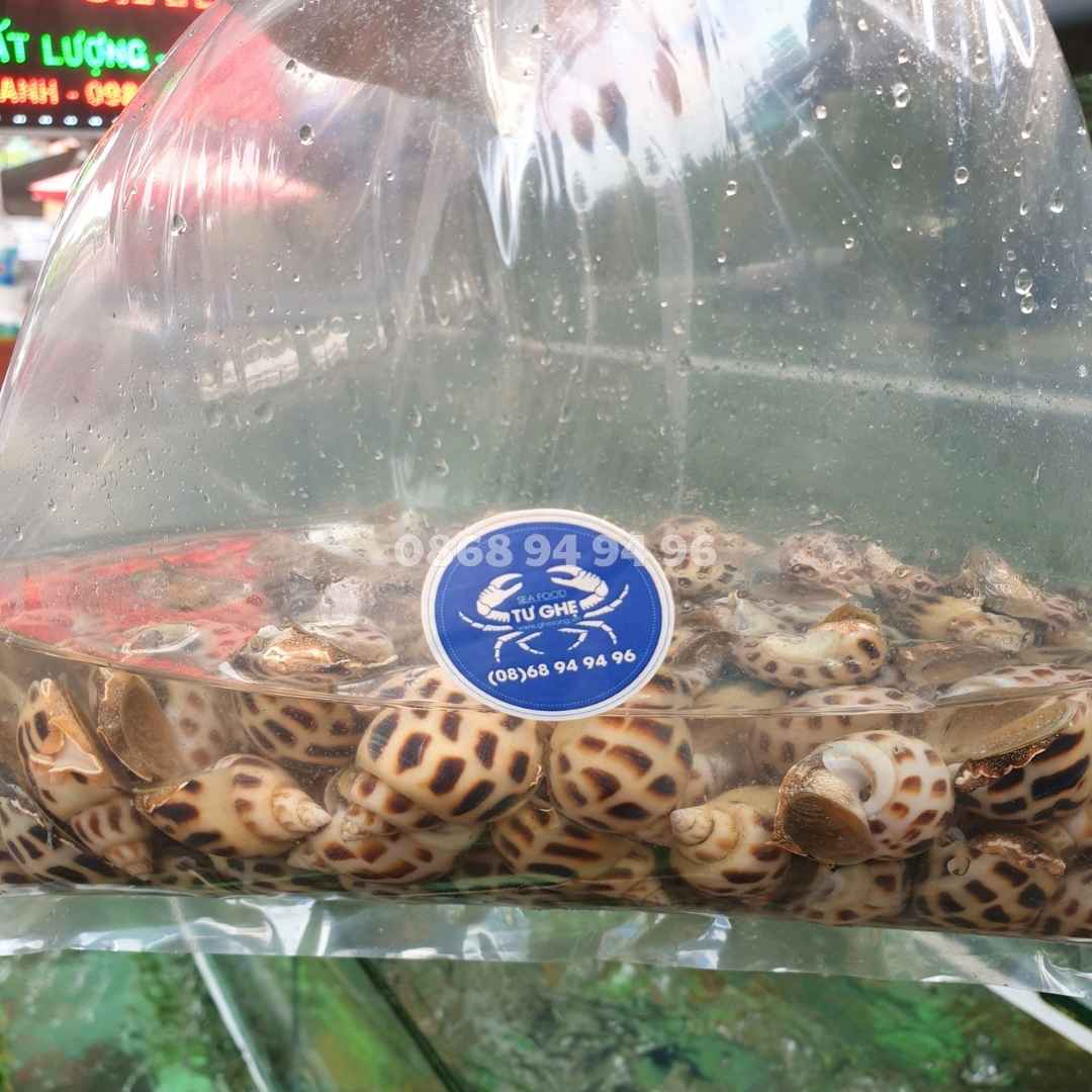 dong-hai-san-trong-nuoc-giu-song