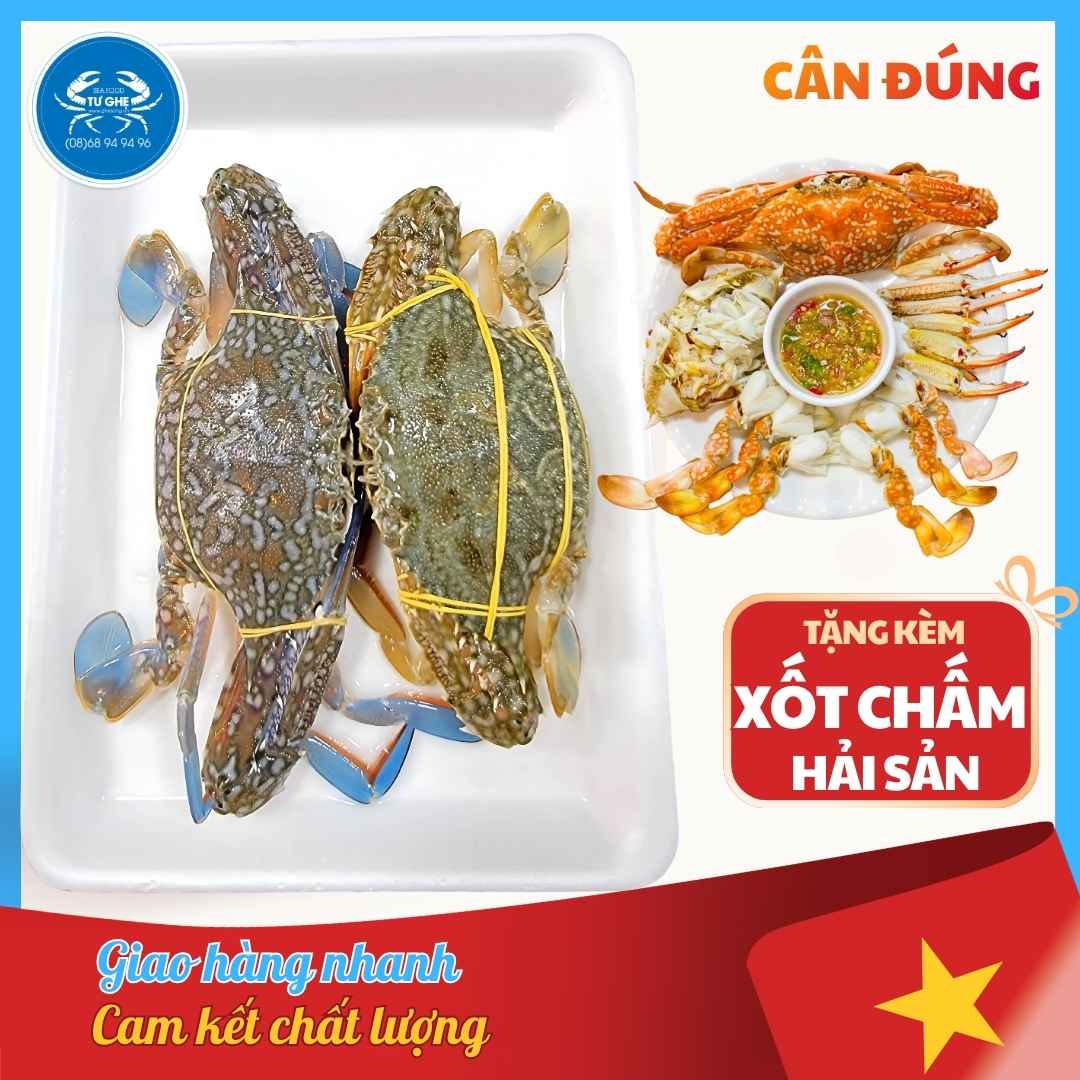 hai-san-ban-chay-phu-nhuan hai-san-ban-chay-phu-nhuan