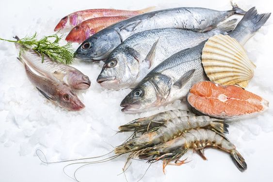 Hải sản biển các loại ưa chuộng hiện nay