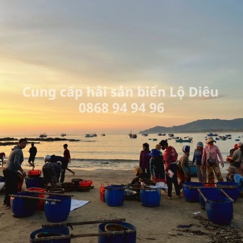 Hải Sản Biển Lộ Diêu Hoài Nhơn Đông