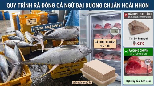 Bí Quyết Bếp Trưởng Chia Sẽ Kinh Nghiệm Cách Rã Đông Cá Ngừ Đại Dương Không Bị Bở Thịt, Giữ Trọn Màu Đỏ Ruby