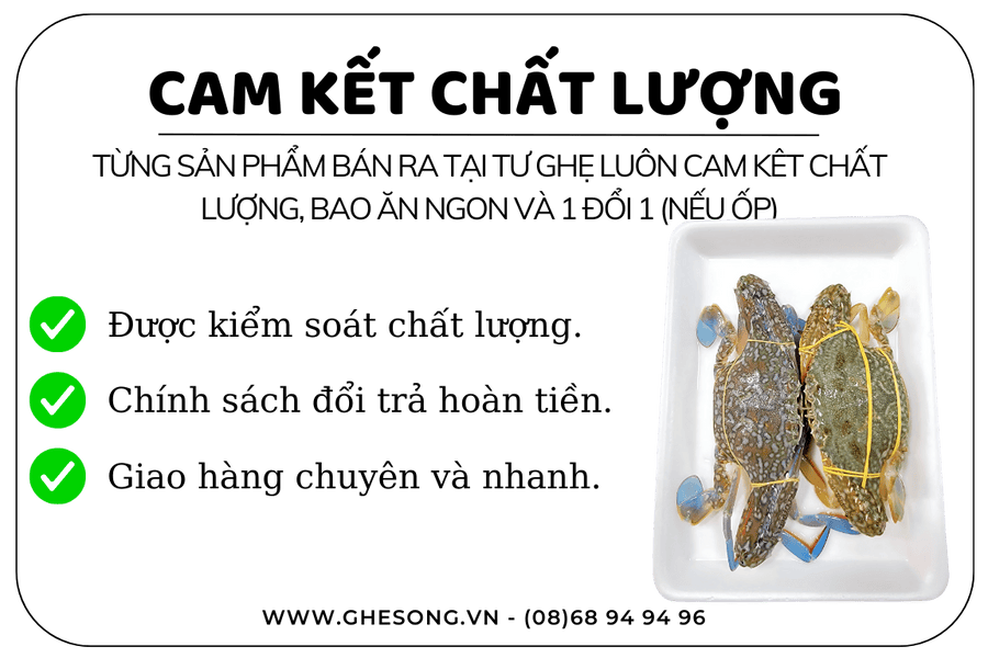 mua-ghe-xanh-thien-nhien-cam-ket-chat-luong