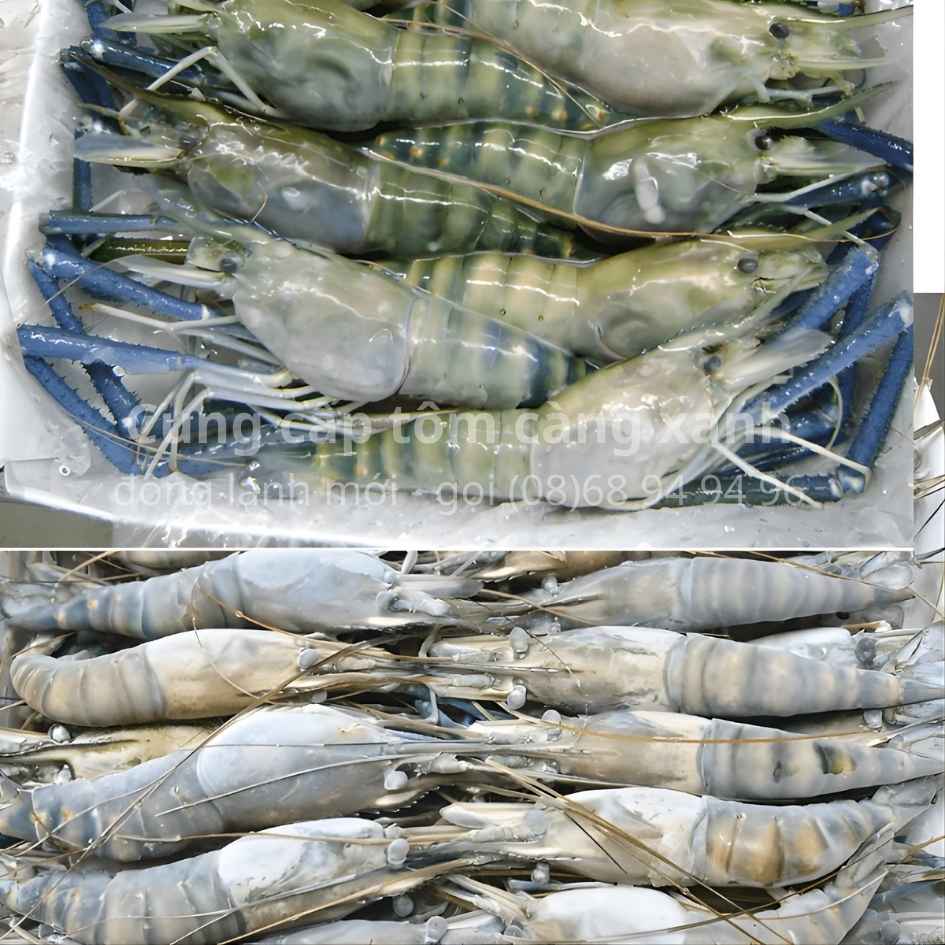 mua-tom-cang-xanh-dong-lanh-gia-re