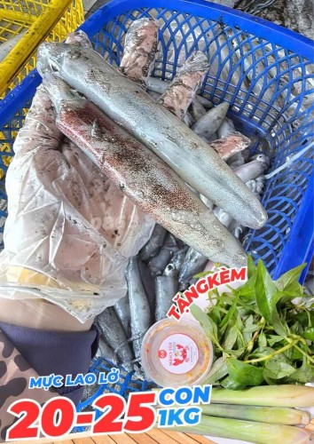 Mực Lao Lỡ Phú Quốc (mực câu)