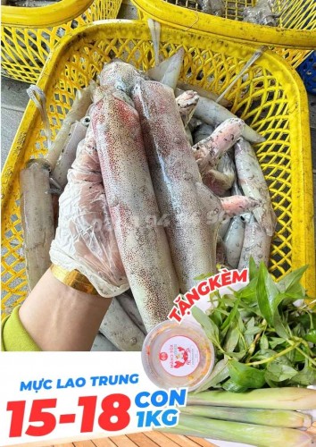 Mực ống lao Phú Quốc ( mực câu )