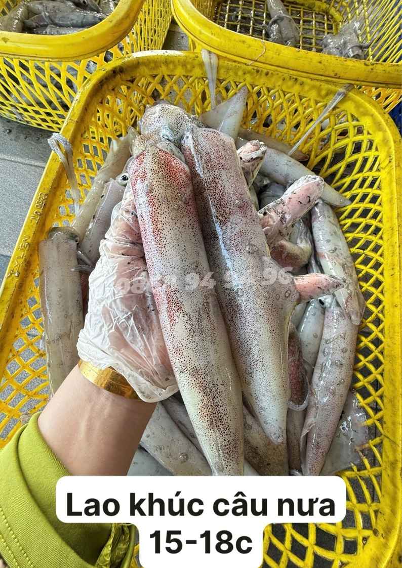 muc-ong-lao-size-15-18-con