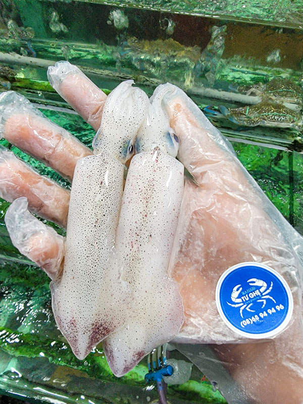 muc-ong-tuoi-nho-gia-re