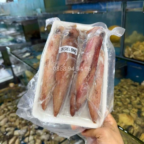 Mực Trứng Lớn, Size 8-10con/KG, Bao 100% trứng