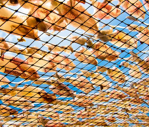 mực-khô-ngon-được-phơi-nắng