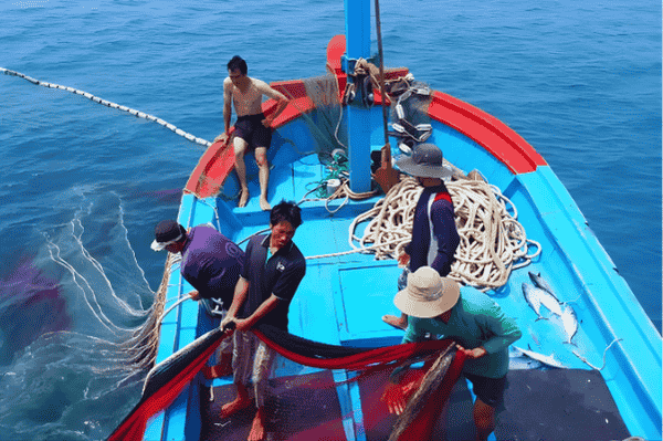 net-dep-nghe-luoi-ghe-bien net-dep-nghe-luoi-ghe-bien