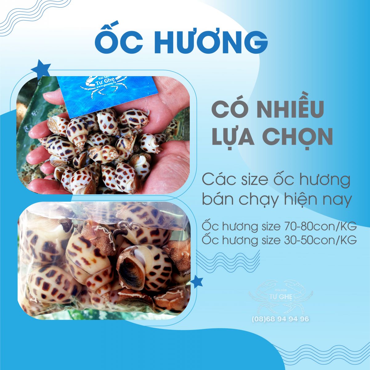 oc-huong-song-co-2-size-chon-ua-chuong