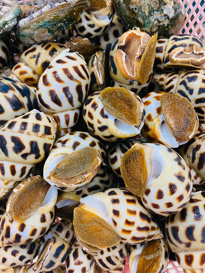 Giá ốc hương bao nhiêu tiền 1kg