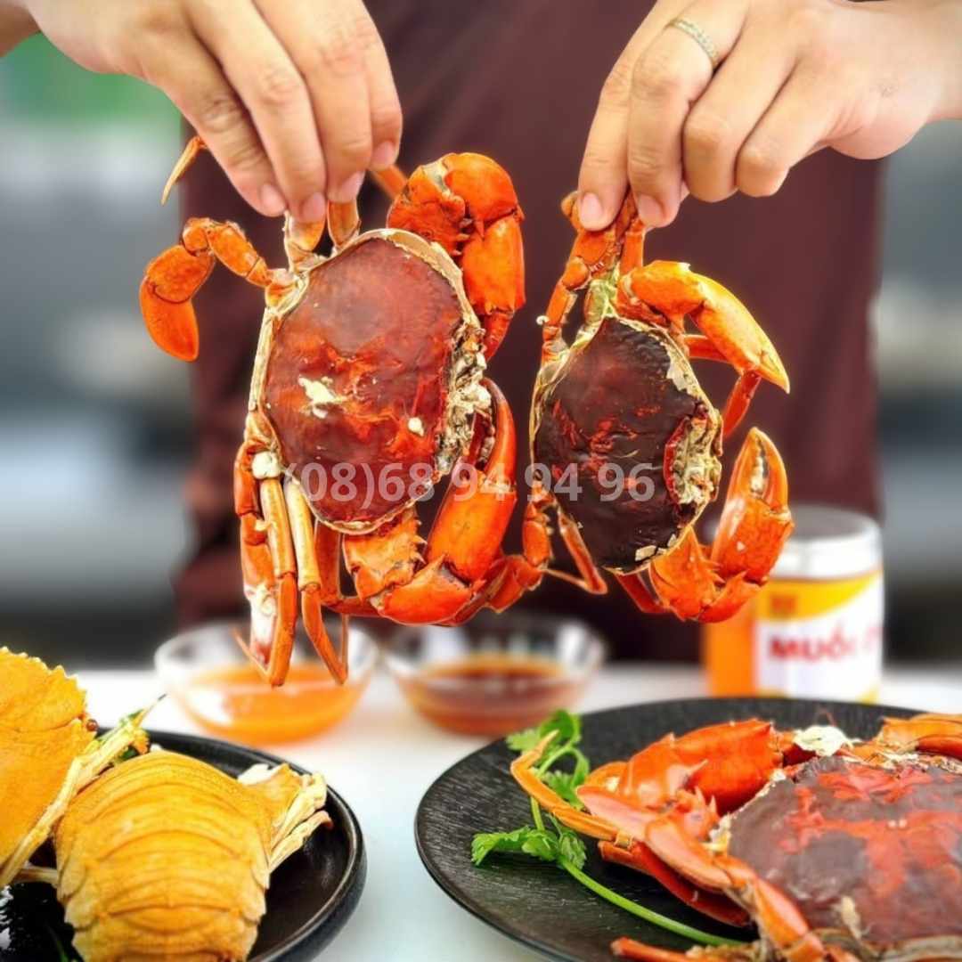 tai-sao-cua-com-hai-da-ngon-nhat