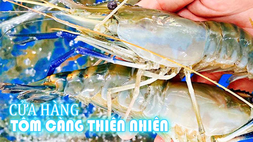 Tôm càng thiên nhiên giá bao nhiêu tiền? địa chỉ bán tôm càng ngon tại Tphcm
