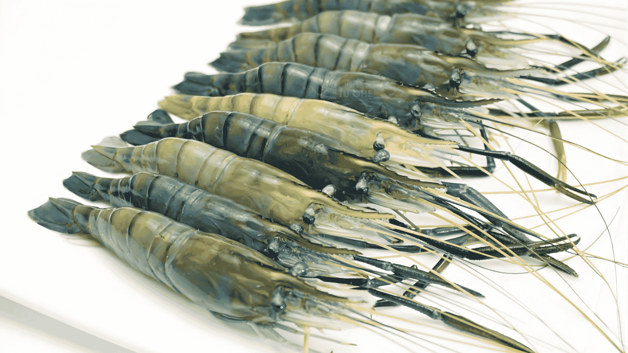 tom-cang-xanh-tuoi tom-cang-xanh-tuoi