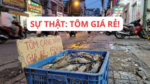 Sự Thật Về Tôm Càng Xanh Giá Rẻ 150k/kg Trên Vỉa Hè: Cảnh Báo Ôm Ngộp Lâu Ngày Và Rủi Ro Sức Khỏe