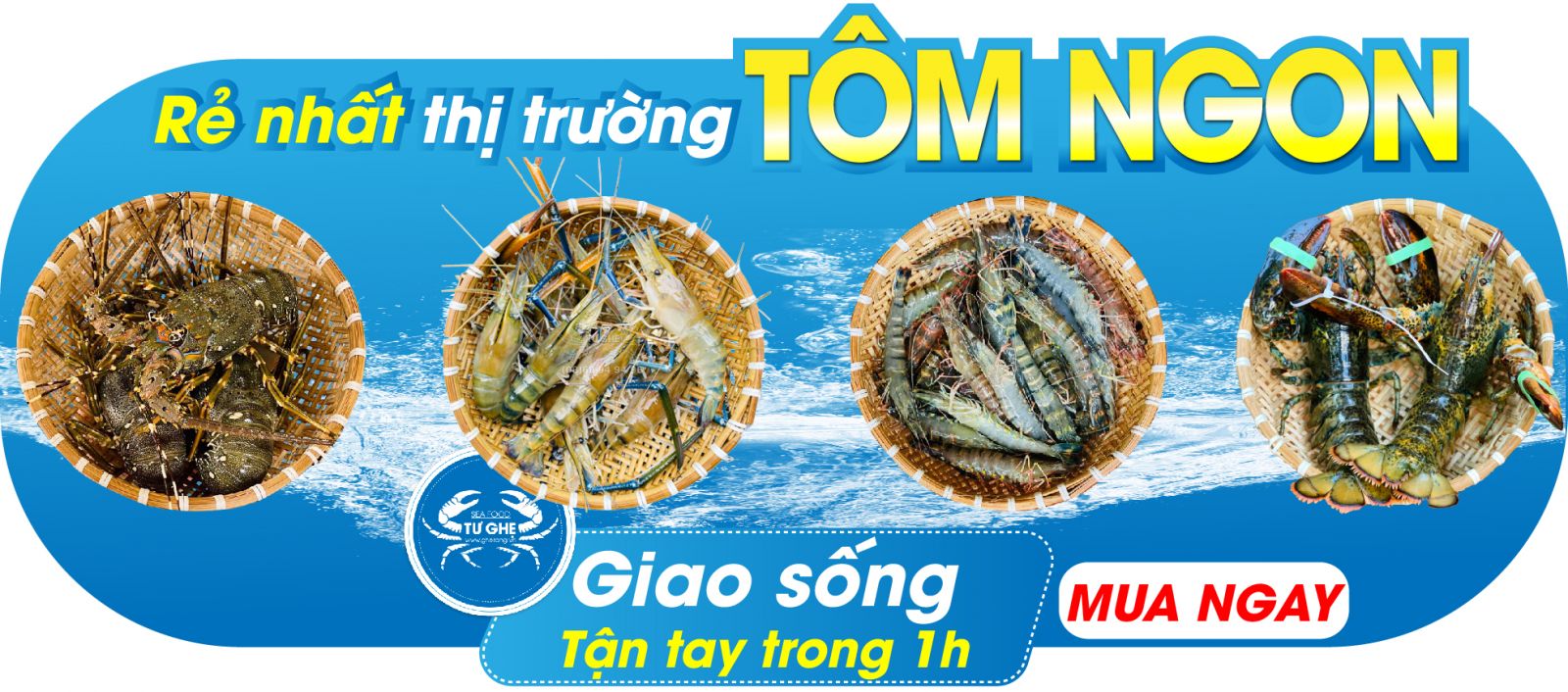 tom-song-gia-re